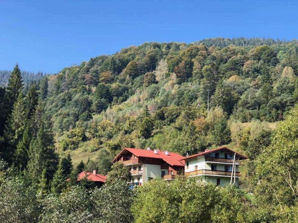 Лісова Казка Slavske Exterior foto